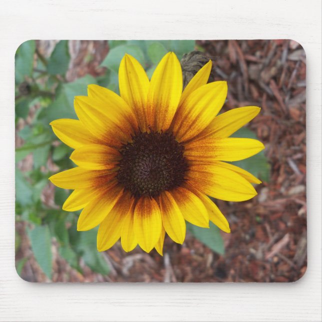 Helianthus Annuus Mouse Mat (Front)