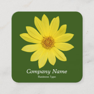 Helianthus 'Lemon Queen' Sunflower - Forest Green Square Business Card