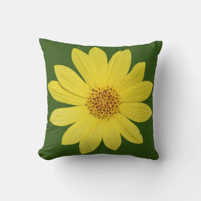 Helianthus 'Lemon Queen' Sunflower (isolated) Cushion (Front)