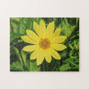 Helianthus 'Lemon Queen' Sunflower Jigsaw Puzzle