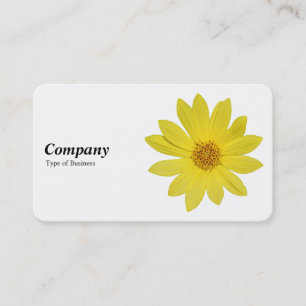 Helianthus 'Lemon Queen' Sunflower - White Business Card