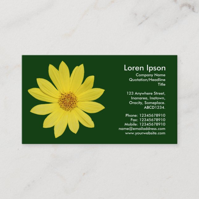 Helianthus (Sun Flower) - Dark Green Business Card (Front)
