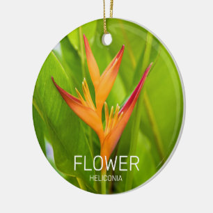 Heliconia Flowers Botanical Plant Garden Design Ceramic Tree Decoration