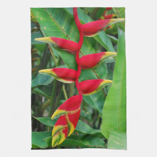 Heliconia Kitchen Towel