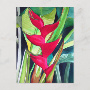 Heliconia Lobster Claw tropical watercolour flower Postcard