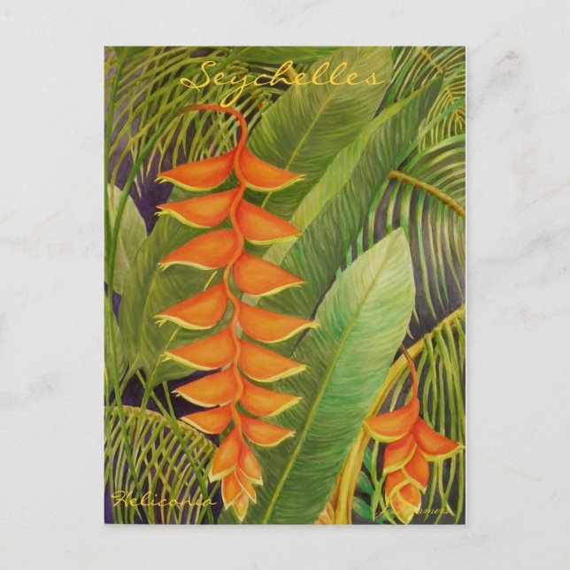 Heliconia Postcard (Front)