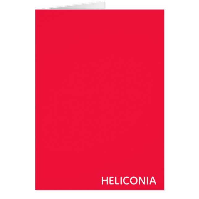 Heliconia red color name (Front)