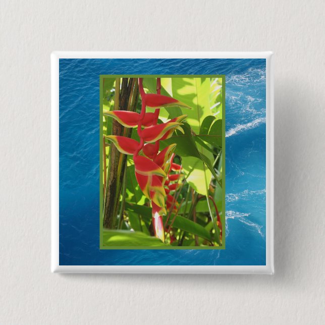 Heliconia rostrata 15 cm square badge (Front)