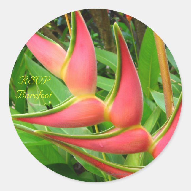 Heliconia RSVP Tropical Wedding Envelope Seals (Front)