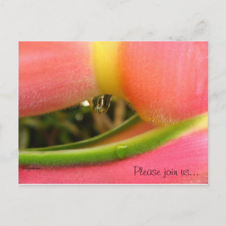 HeliconiaTropical Save the Date Wedding Cards