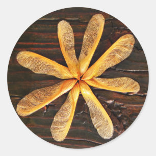 Helicopter Maple Tree Seedlings Circle Classic Round Sticker