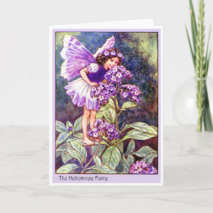 Heliotrope Fairy Card