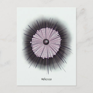 Heliozoa Microbiology Geek Digital Art Postcard