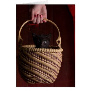 Hell in a handbasket
