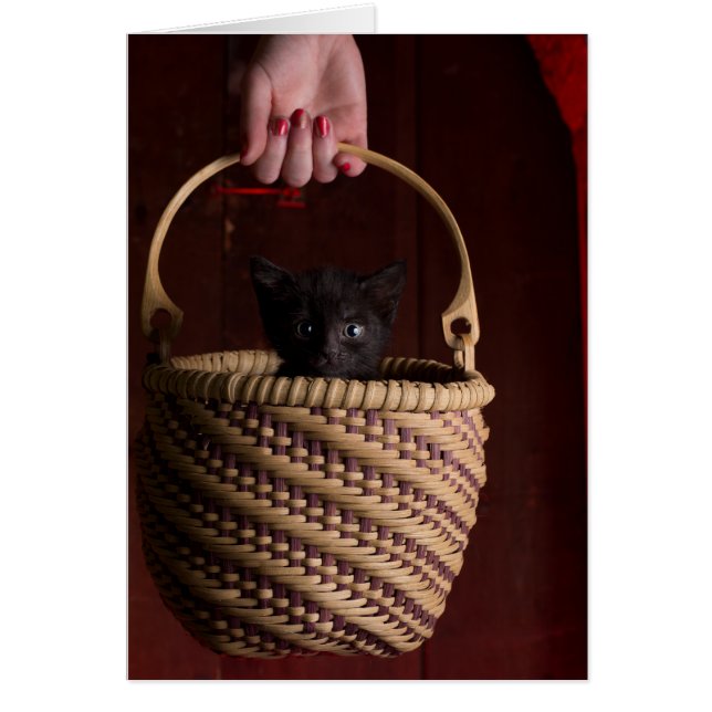 Hell in a handbasket (Front)