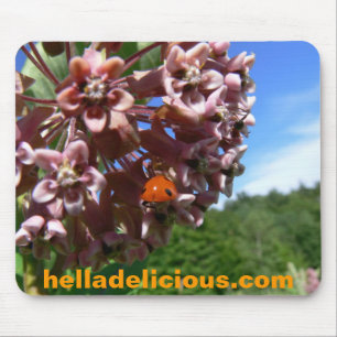 Hella Delicious Mousepad