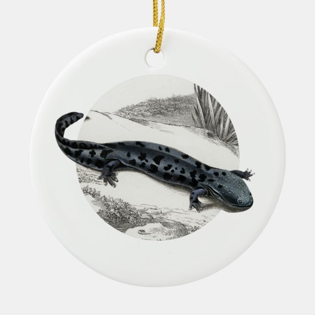 Hellbender Salamander Ceramic Tree Decoration (Front)