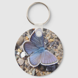 Hellblauer Schmetterling Key Ring