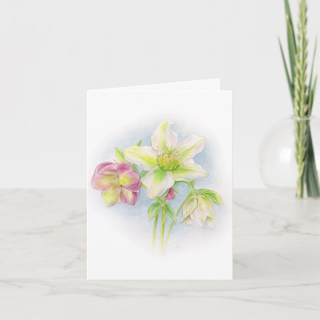 Hellebore floral white pink green Easter card (Front)