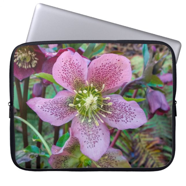 Hellebore Winter Rose Laptop Sleeve (Front)