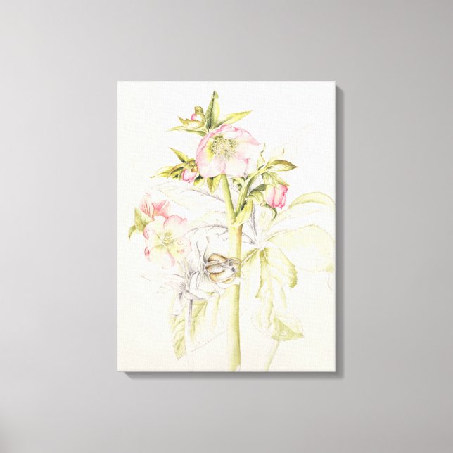 Hellebores Canvas Print (Front)