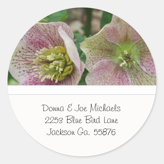 Hellebores Flowers Address Stickers (Front)