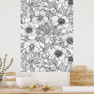 Hellebores in black and white poster