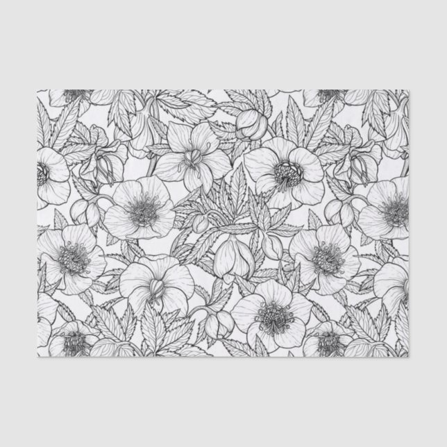 Hellebores in black and white tissue paper (Front)