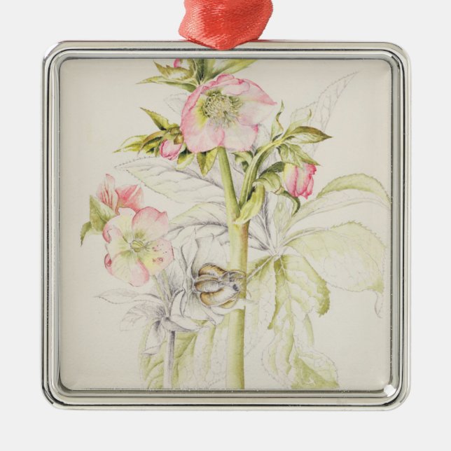 Hellebores Metal Tree Decoration (Front)