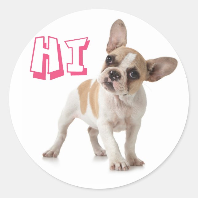 Helllo Hi French Bulldog Puppy Dog Sticker / Seal (Front)