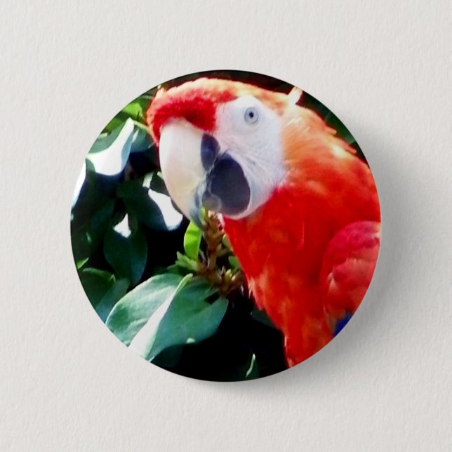 Hello_ 6 Cm Round Badge (Front)