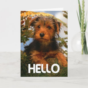 Hello Airedale Puppy Dog Card - Verse