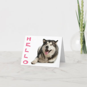 Hello Alaskan Malamute Puppy Dog  Note Card