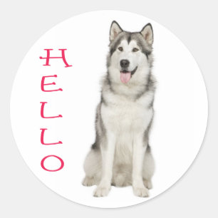 Hello Alaskan Malamute Puppy Dog Sticker / Seal