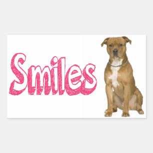 Hello American Staffordshire Terrier Dog Stickers