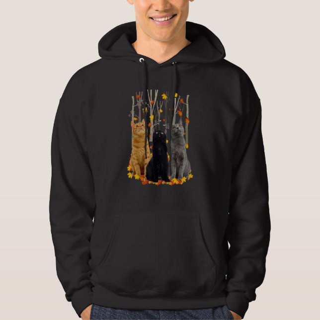 Hello Autumn Maple Cats Leaf Fall Heart Cat Hoodie (Front)