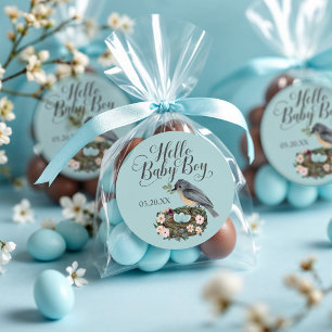 Hello Baby Boy Floral Bird's Nest Baby Shower Classic Round Sticker