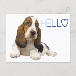 Hello Basset Hound Puppy Dog Blue Thinking of You Postcard
