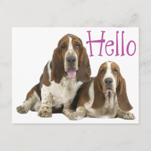 Hello Basset Hound Puppy Dog Purple Postcard