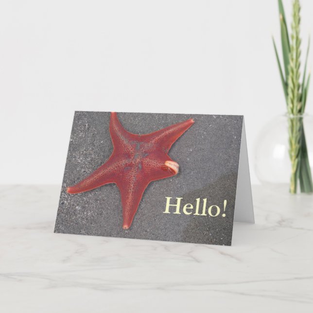 Hello! Beach Stafish Sand Nature GoodBye! Card (Front)