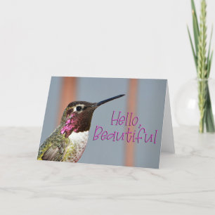 Hello Beautiful Pink Anna's Hummingbird Photo Card