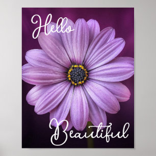 Hello Beautiful Purple Flower Poster