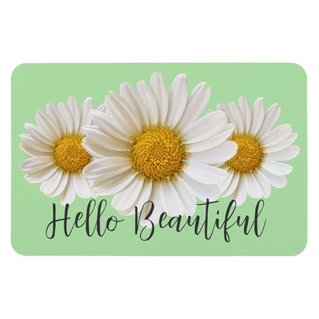Hello Beautiful White Daisies Sage Green Floral Magnet (Horizontal)