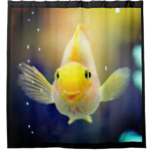 HELLO BIG FISHY SHOWER CURTAIN