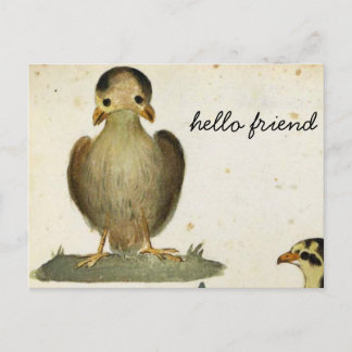 hello bird friend postcard