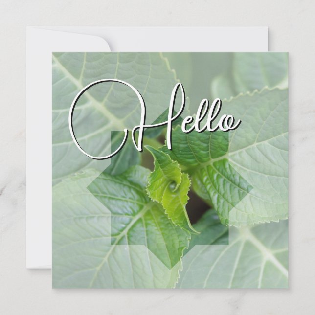 Hello birth welcome greeting green card (Front)