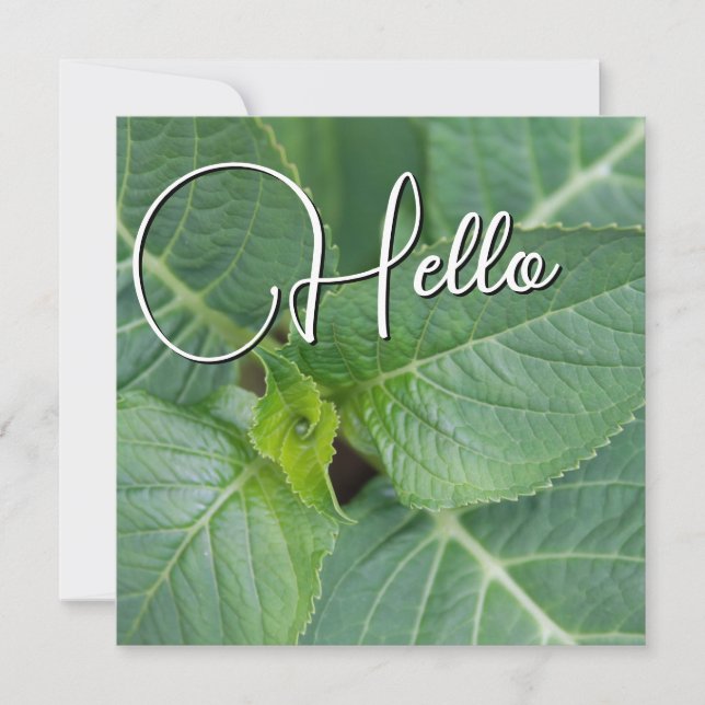 Hello birth welcome greeting green card (Front)