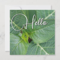 Hello birth welcome greeting green