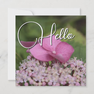 Hello birth welcome greeting rose card