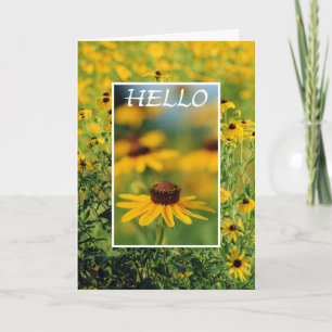 Hello - Black-Eyed Susans Greeting Card